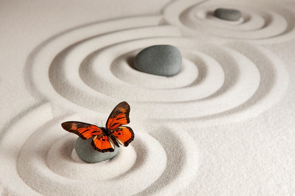 papillon sur jardin japonais